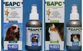 Spray Bars de pulgas para gatos y perros.