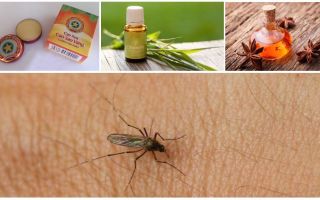 Resumen de remedios populares para mosquitos y mosquitos en la naturaleza