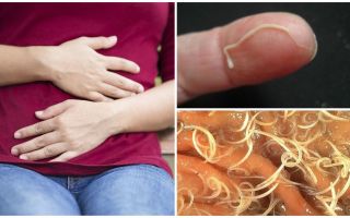 Los efectos de las lombrices intestinales para los humanos.
