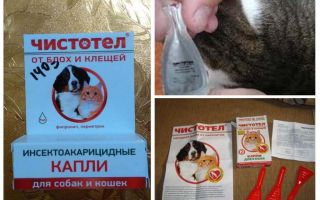 Gotas de celidonia de pulgas para gatos y perros.