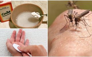 Mosquito picante solución soda para niños y adultos.