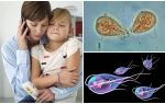 Cómo tratar a Giardia en niños por el Dr. Komarovsky
