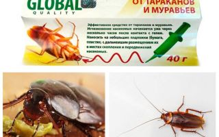 Cucaracha Remedio Global (Global)