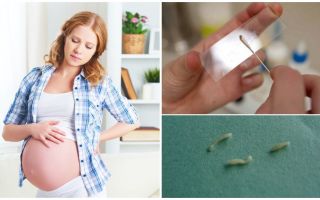 Cómo tratar las lombrices intestinales en mujeres embarazadas