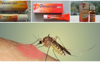 Gel Fenistil contra las picaduras de mosquitos: instrucciones, comentarios y análogos