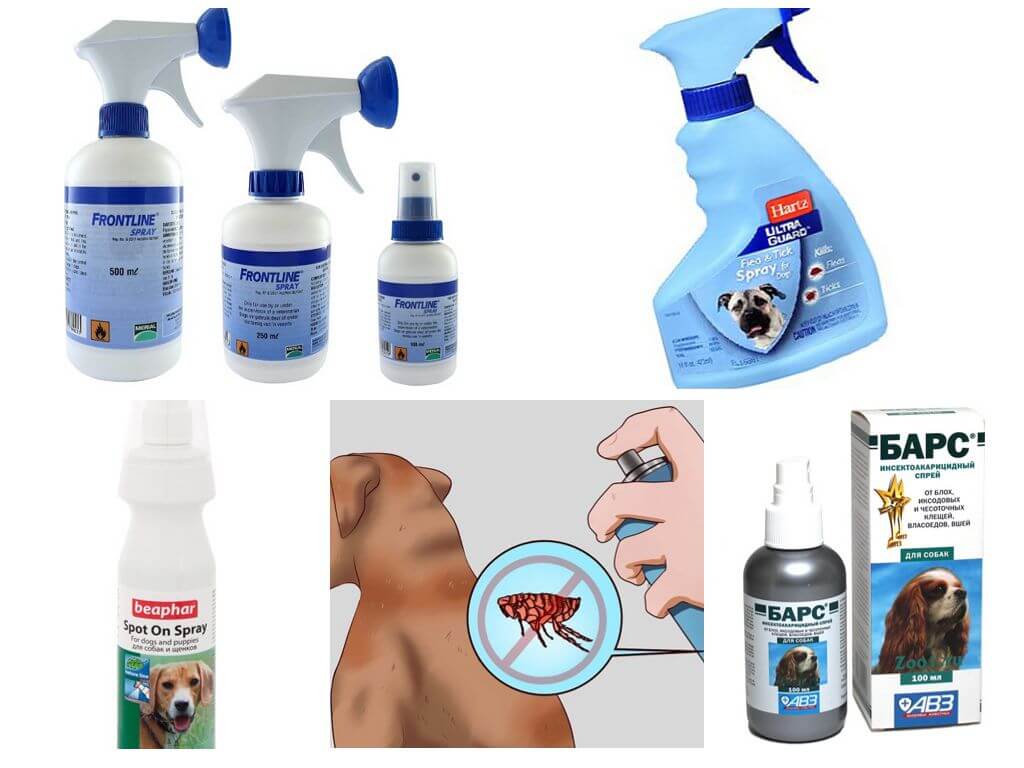 Pulgas Sprays para perros