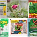 Productos químicos tóxicos para la protección de las plantas.