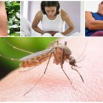 Consecuencias de la picadura del mosquito de la malaria