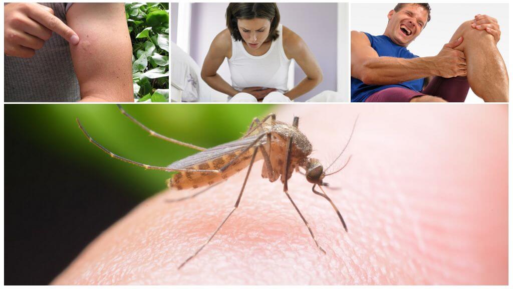 Consecuencias de la picadura del mosquito de la malaria